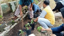 Pemanfaatan Pangan Lokal